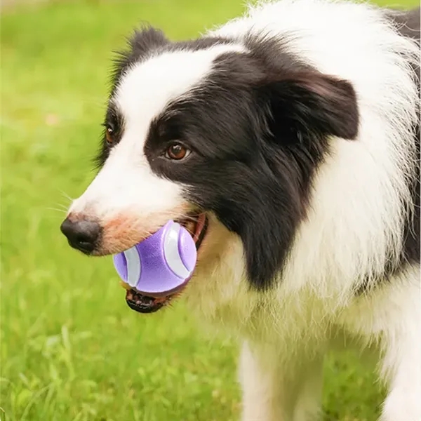 Interactive Dog Toy Luminous Teething Training Ball - Interactive Dog Toy Luminous Teething Training Ball - Image 1 of 3