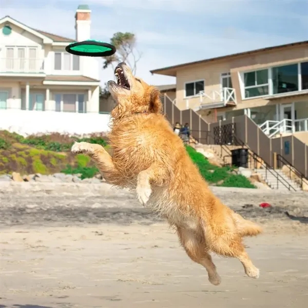 Colorful Nylon Dog Frisbee - Colorful Nylon Dog Frisbee - Image 3 of 5