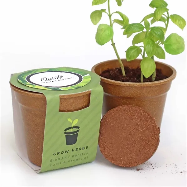 Herb Medallion Seed Paper Sprouter Kit - Herb Medallion Seed Paper Sprouter Kit - Image 0 of 3