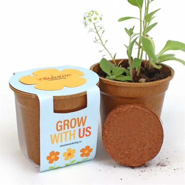 Flower Power Seed Paper Sprouter Kit - Flower Power Seed Paper Sprouter Kit - Image 0 of 3