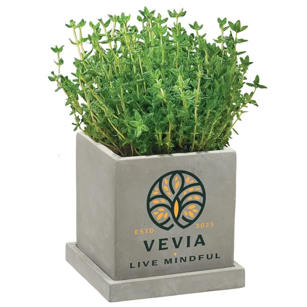 Stone Blossom Kit - Stone Blossom Kit - Image 0 of 3