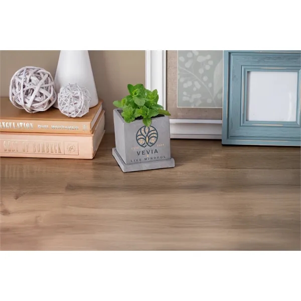 Stone Blossom Kit - Stone Blossom Kit - Image 2 of 3