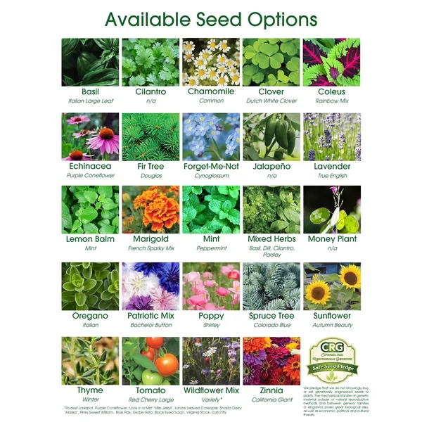 Mini Bamboo Blossom Kit - Mini Bamboo Blossom Kit - Image 2 of 2