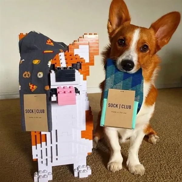 Quarter Socks - Ankle-Length Comfort for Everyday Wear - Quarter Socks - Ankle-Length Comfort for Everyday Wear - Image 2 of 2