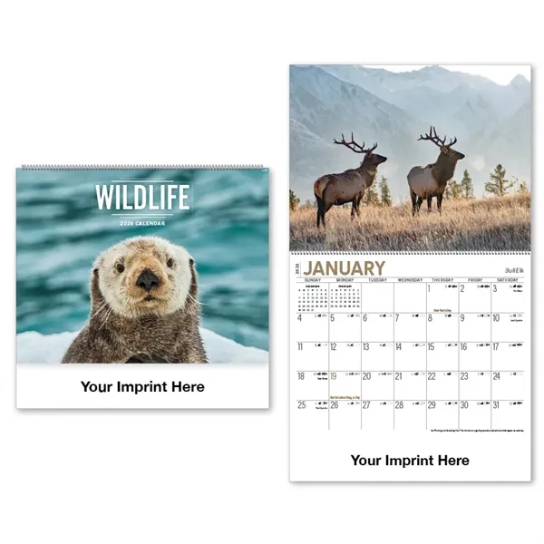 2026 North American Wildlife Spiral Bound Calendar - 2026 North American Wildlife Spiral Bound Calendar - Image 0 of 3