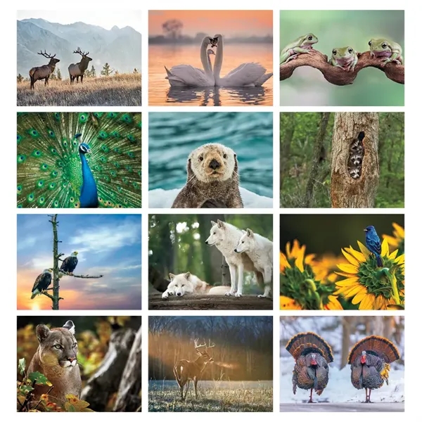 2026 North American Wildlife Spiral Bound Calendar - 2026 North American Wildlife Spiral Bound Calendar - Image 3 of 3