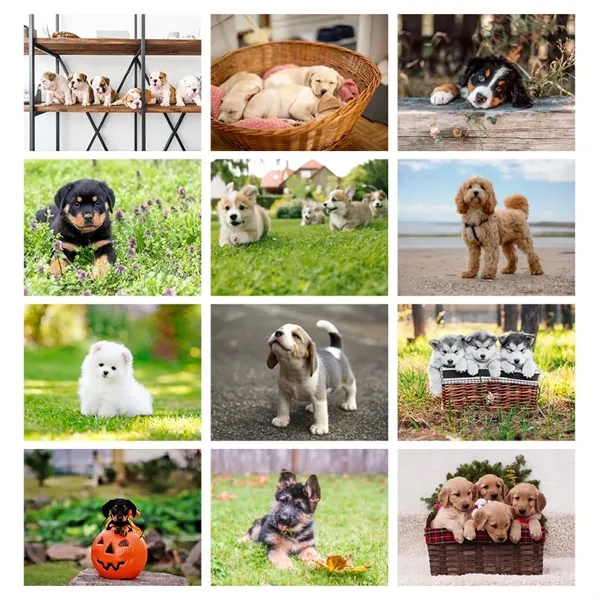 2026 Puppies Spiral Bound Calendar - 2026 Puppies Spiral Bound Calendar - Image 3 of 3