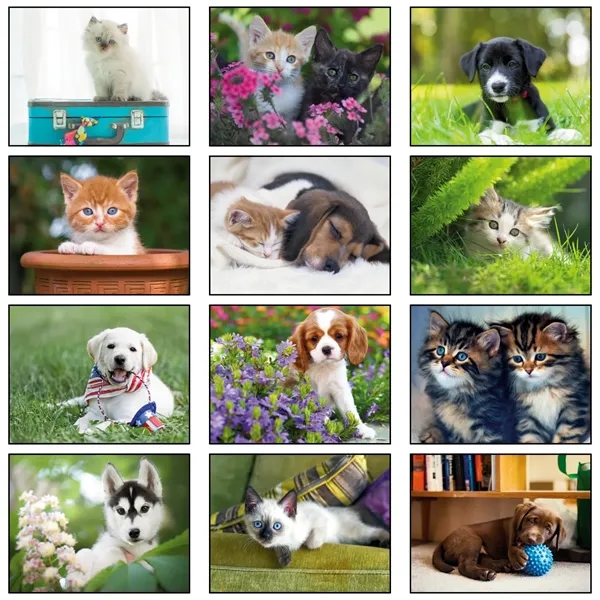 2026 Stapled Puppies & Kittens Wall Calendar - 2026 Stapled Puppies & Kittens Wall Calendar - Image 2 of 2
