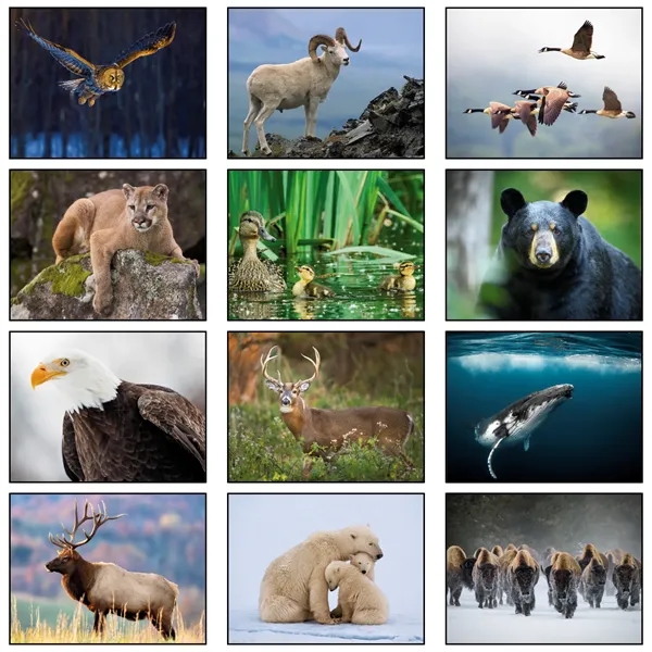 2026 Stapled Wildlife Wall Calendar - 2026 Stapled Wildlife Wall Calendar - Image 2 of 2