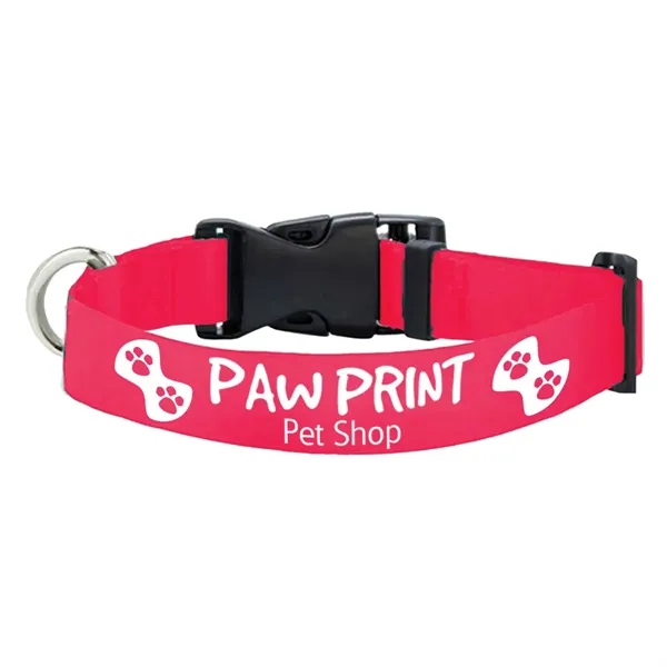 12"L Eco-friendly rPET Pet Collar - 12"L Eco-friendly rPET Pet Collar - Image 16 of 19