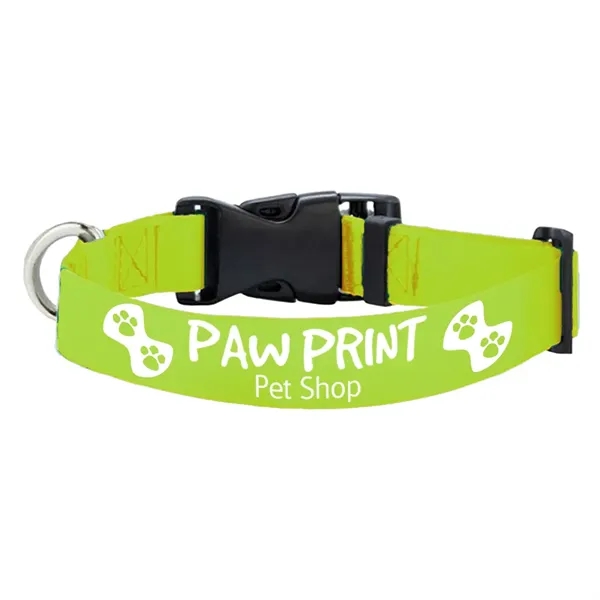 12"L Eco-friendly rPET Pet Collar - 12"L Eco-friendly rPET Pet Collar - Image 19 of 19