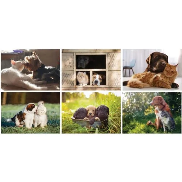Furry Friends Stapled Wall Calendar - Furry Friends Stapled Wall Calendar - Image 3 of 4