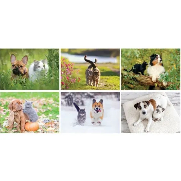 Furry Friends Stapled Wall Calendar - Furry Friends Stapled Wall Calendar - Image 4 of 4