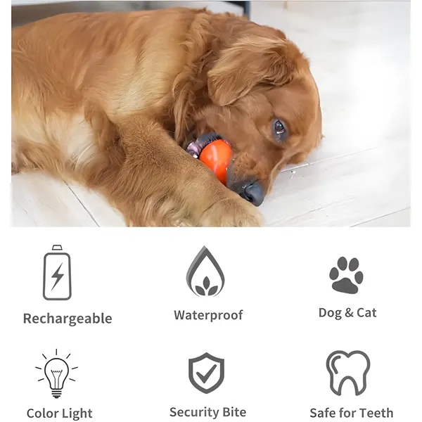 Bulk LED Motion Sensor Dog Ball Bite Proof Chew Resistant - Bulk LED Motion Sensor Dog Ball Bite Proof Chew Resistant - Image 1 of 4