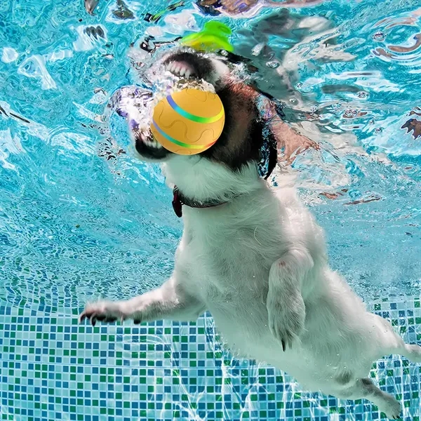 Bulk LED Motion Sensor Dog Ball Bite Proof Chew Resistant - Bulk LED Motion Sensor Dog Ball Bite Proof Chew Resistant - Image 4 of 4