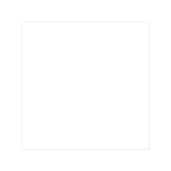 Good Value™ 20 Mil Medium Stock Shape Magnet - Good Value™ 20 Mil Medium Stock Shape Magnet - Image 1 of 1