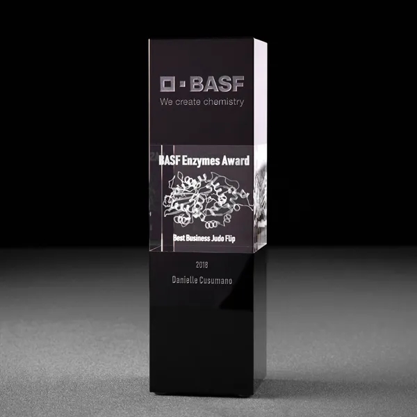 Excelsior Award w/ Glass Sections - Excelsior Award w/ Glass Sections - Image 0 of 3