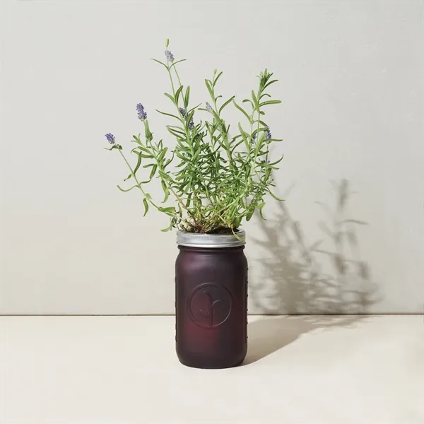 Modern Sprout® Indoor Herb Garden Kit - Modern Sprout® Indoor Herb Garden Kit - Image 6 of 13