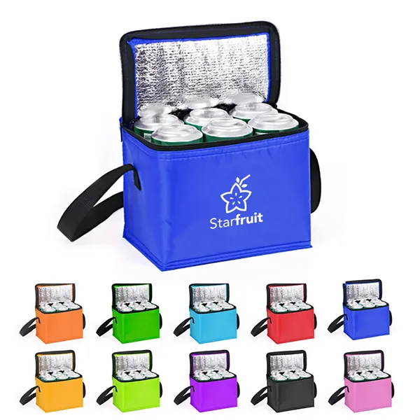 6 Can Non Woven Insulated Cooler Lunch Bag