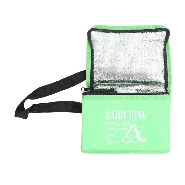 6 Can Non Woven Insulated Cooler Lunch Bag