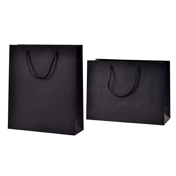 Matte Laminated Paper Shopping Bag - Matte Laminated Paper Shopping Bag - Image 3 of 9
