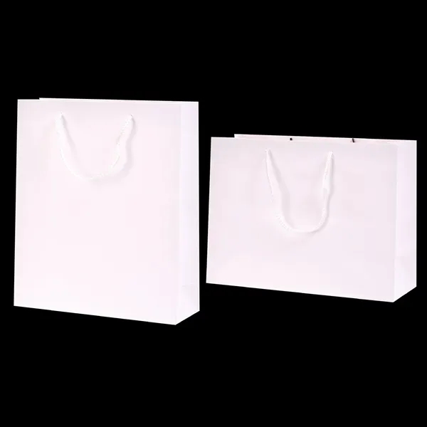 Matte Laminated Paper Shopping Bag - Matte Laminated Paper Shopping Bag - Image 6 of 9
