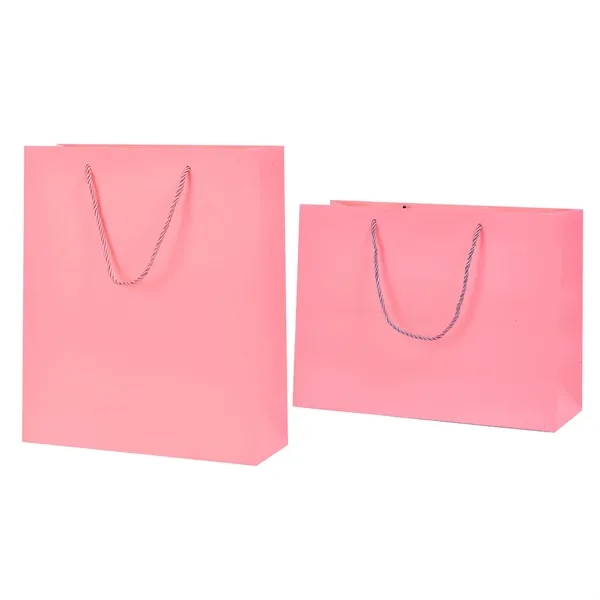 Matte Laminated Paper Shopping Bag - Matte Laminated Paper Shopping Bag - Image 8 of 9