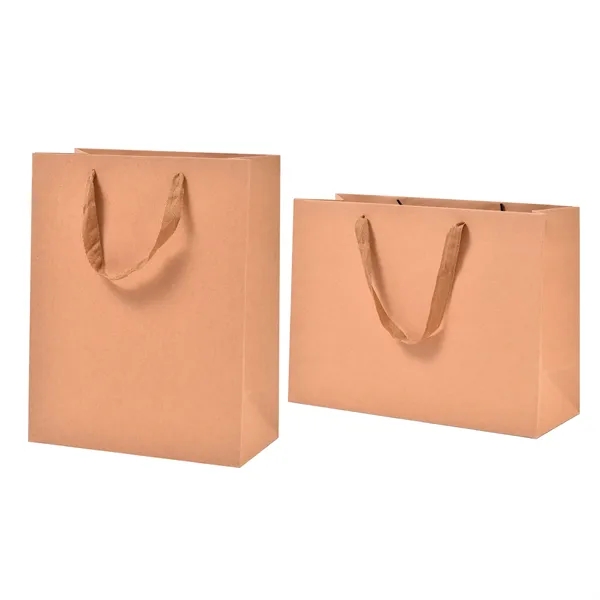Matte Laminated Paper Shopping Bag - Matte Laminated Paper Shopping Bag - Image 9 of 9