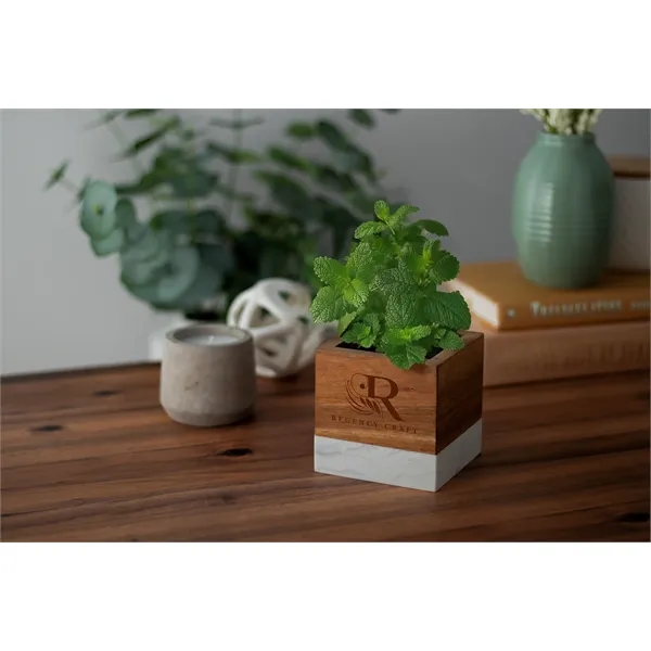 Acacia Wood & Marble Blossom Kit - Acacia Wood & Marble Blossom Kit - Image 2 of 3