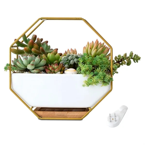 Octagon Wall Hanging Ceramic Planter - Octagon Wall Hanging Ceramic Planter - Image 2 of 2