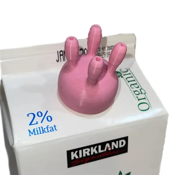 Fun Milk Carton Divider Spout - Fun Milk Carton Divider Spout - Image 3 of 7