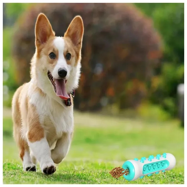 Dog Chew Toys - Dog Chew Toys - Image 2 of 4