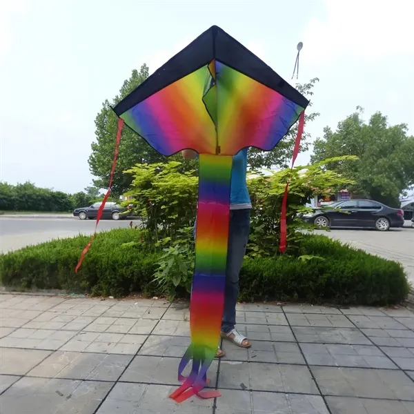 Outdoor Kite - Outdoor Kite - Image 1 of 4