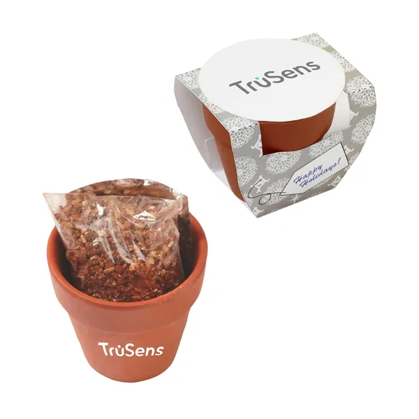 Seed Sensations Terracotta Pot With Holiday Wrapper - Seed Sensations Terracotta Pot With Holiday Wrapper - Image 0 of 1