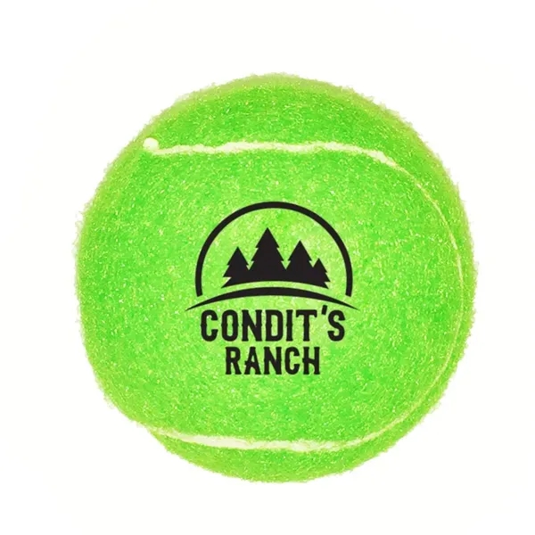 Pet Tennis Ball Toy - Pet Tennis Ball Toy - Image 5 of 10