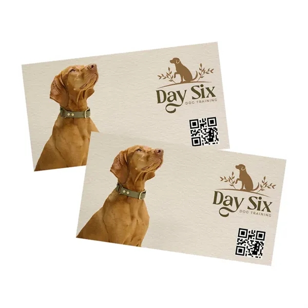 QR Businesss Cards - QR Businesss Cards - Image 9 of 14