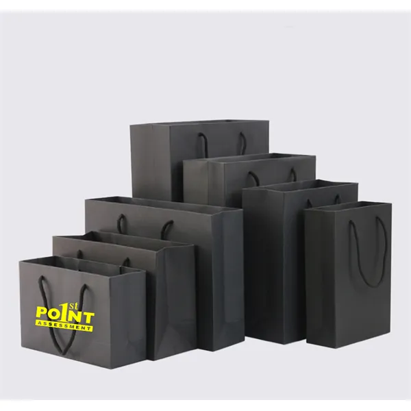 Premium Black Matte Paper Shopping bag - Premium Black Matte Paper Shopping bag - Image 0 of 12
