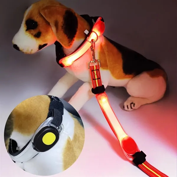 LED Pet Lights for Collars and Leashes - LED Pet Lights for Collars and Leashes - Image 2 of 4