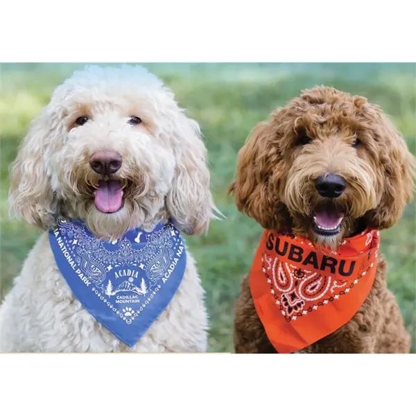 Med - Large Solid Triangle Bandanna - Made in the USA - Med - Large Solid Triangle Bandanna - Made in the USA - Image 0 of 24