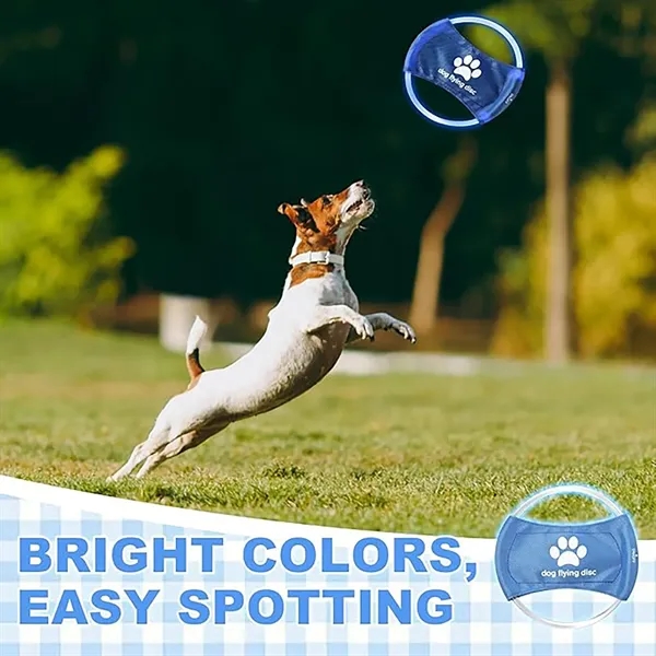 LED Pet Luminous Training Frisbee - LED Pet Luminous Training Frisbee - Image 4 of 4