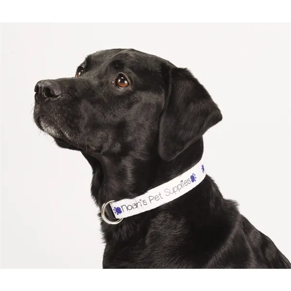 Full Color 1" Wide Adjustable Pet Collar - Full Color 1" Wide Adjustable Pet Collar - Image 0 of 0