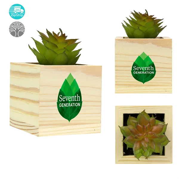 Wooden Planter with Artificial Succulent - Wooden Planter with Artificial Succulent - Image 0 of 2