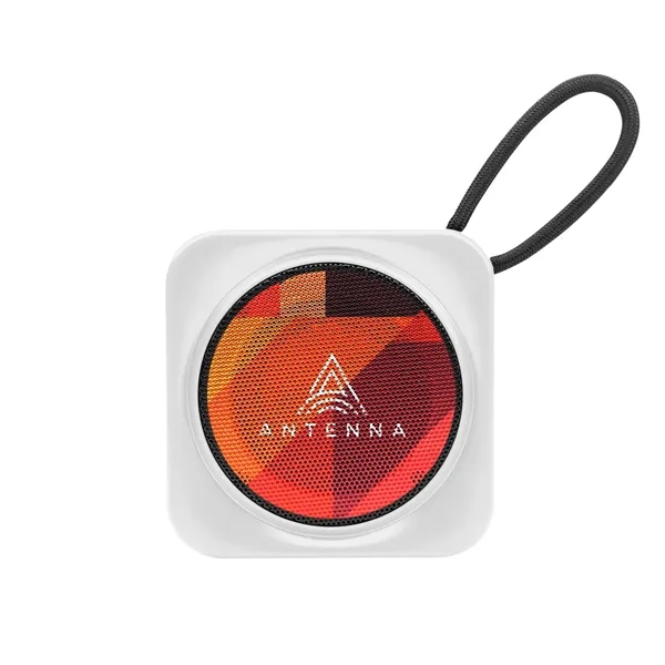 RABS Speaker - RABS Speaker - Image 8 of 8