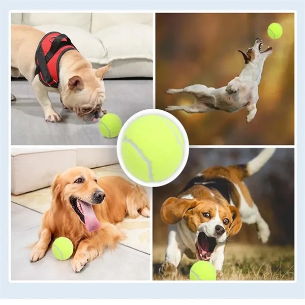 Pet Tennis - Pet Tennis - Image 2 of 2