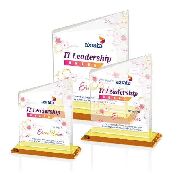 Bellamy VividPrint™ Award - Amber