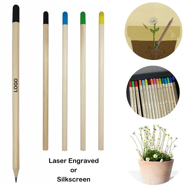 Plantable Wooden Pencil with Seed - Plantable Wooden Pencil with Seed - Image 0 of 4