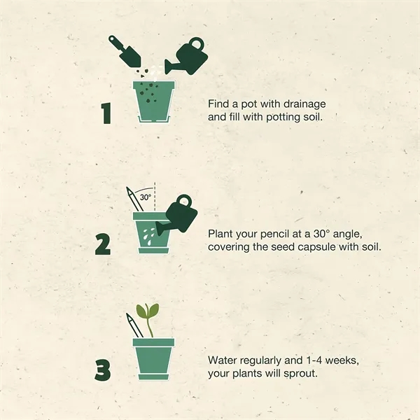 Plantable Wooden Pencil with Seed - Plantable Wooden Pencil with Seed - Image 3 of 4