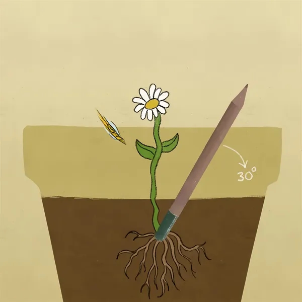 Plantable Wooden Pencil with Seed - Plantable Wooden Pencil with Seed - Image 4 of 4