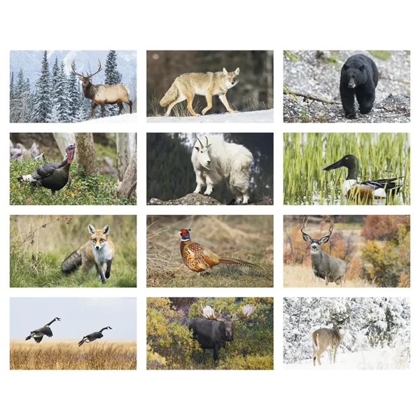 Triumph® Calendars North American Wildlife Calendar - Triumph® Calendars North American Wildlife Calendar - Image 1 of 2