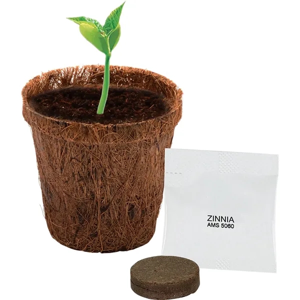 Coco Planter Kit - Coco Planter Kit - Image 0 of 1